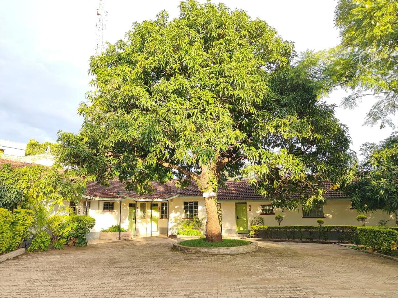 Milimani Drive Livings Apartment Kisumu Bagian luar foto